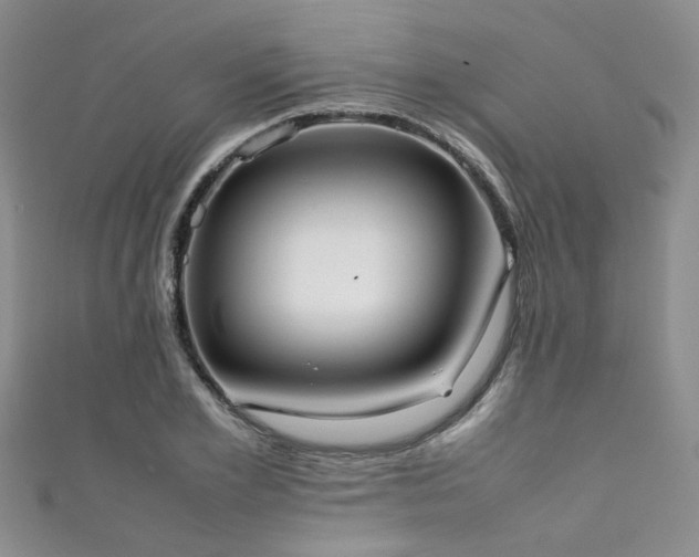 X0000111370981200907101207