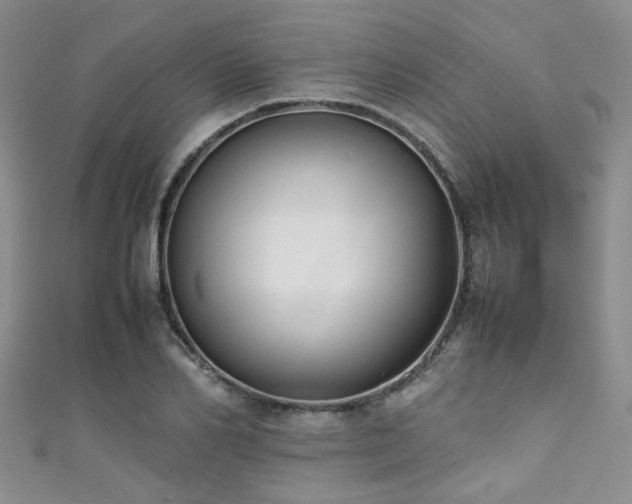 X0000111370982200907101207