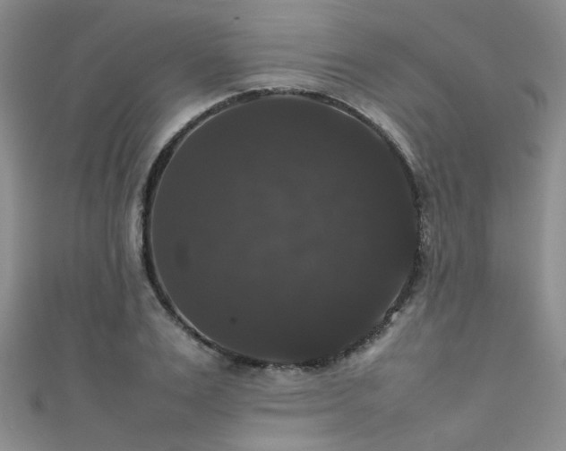 X0000111370983200907101207