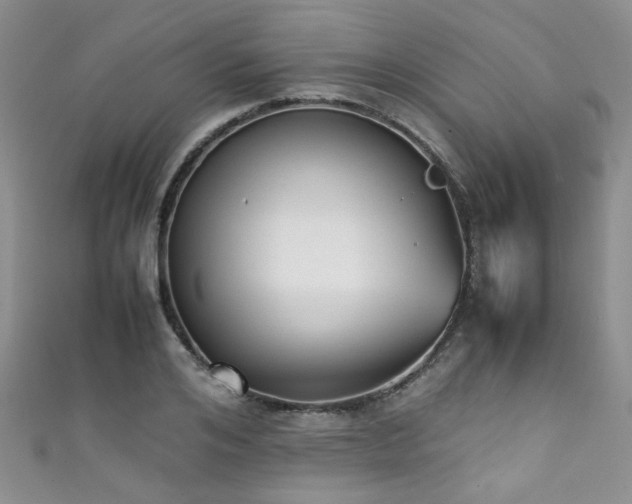 X0000111370984200907101207