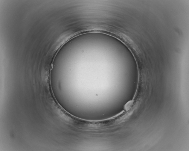 X0000111370985200907101207