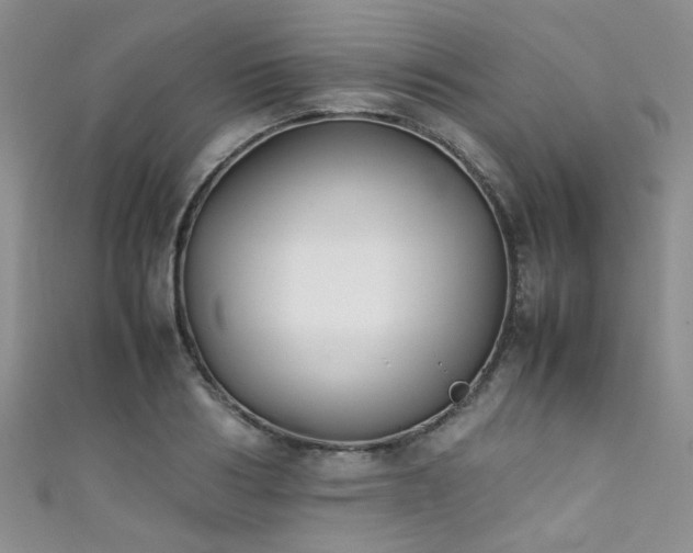 X0000111370986200907101207