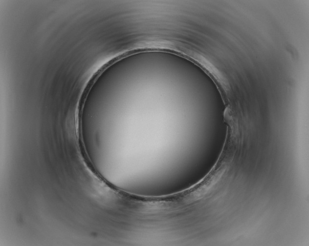 X0000111370988200907101207