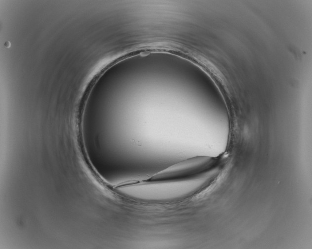 X0000111370989200907101207