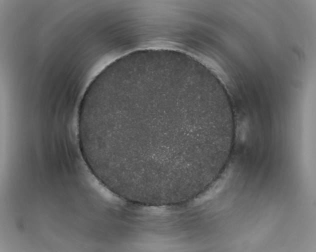 X0000111370990200907101207