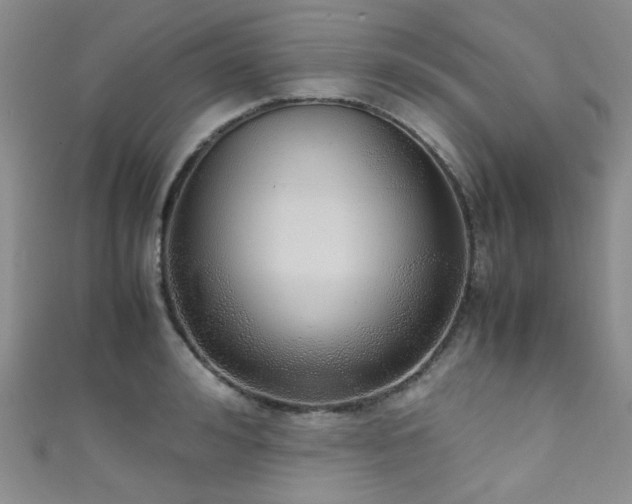 X0000111370992200907101207