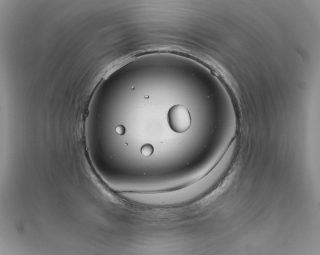 X0000111370993200907101207