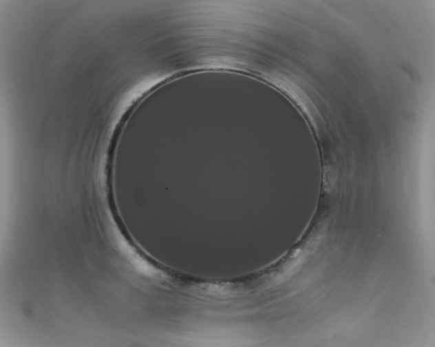 X0000111370995200907101207