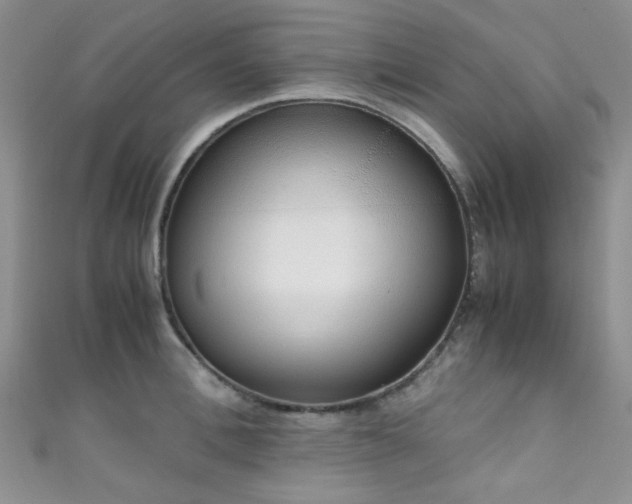X0000111370996200907101207
