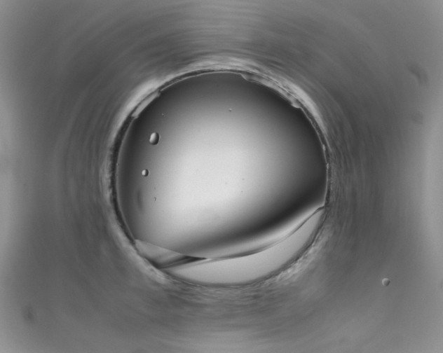 X0000111370997200907101207
