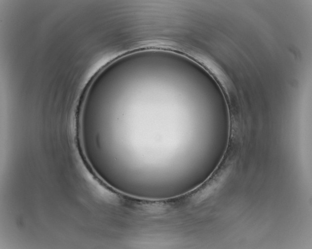 X0000111370999200907101207