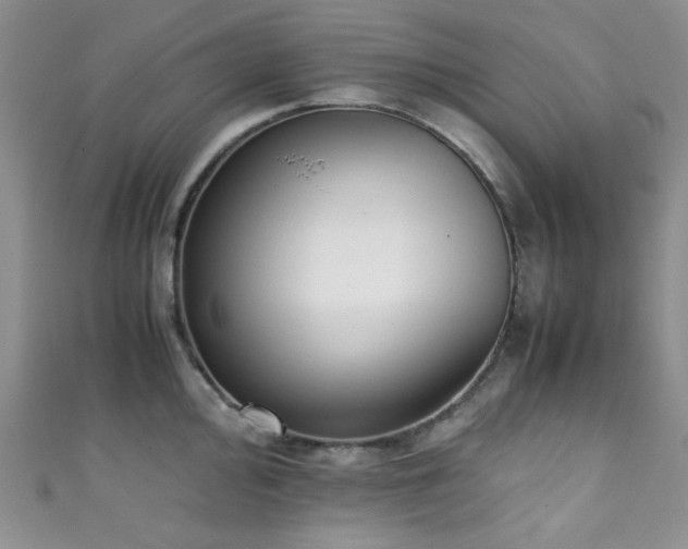 X0000111371000200907101207