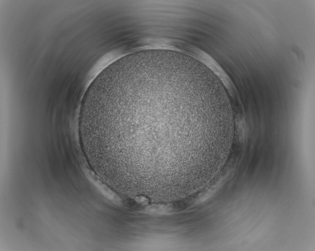 X0000111371002200907101207