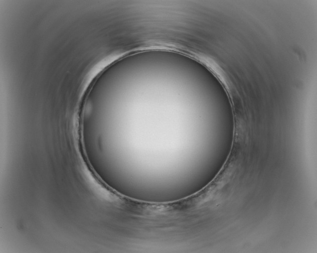 X0000111371003200907101207