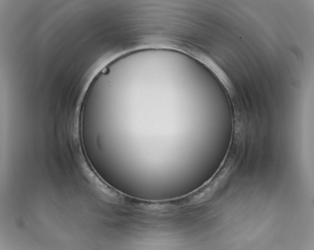 X0000111371004200907101207