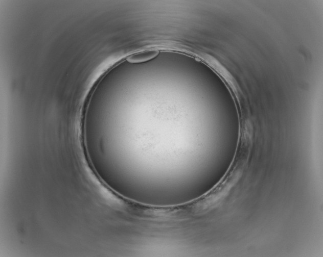 X0000111371005200907101207
