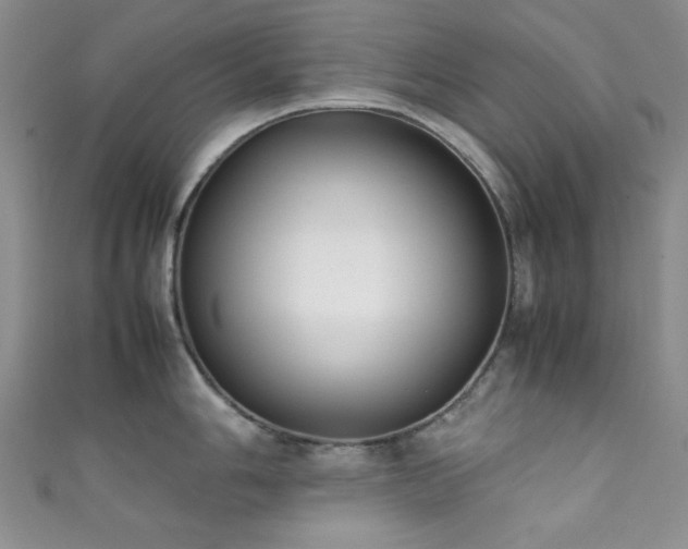 X0000111371006200907101207