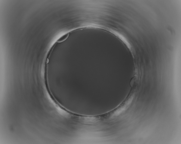 X0000111371007200907101207