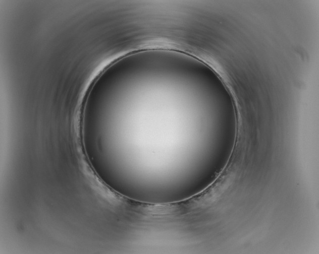 X0000111371008200907101207