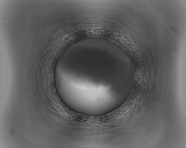 X0000111371009200907101206