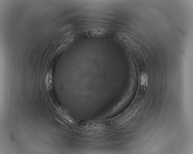 X0000111371011200907101206