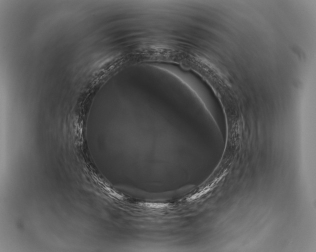 X0000111371013200907101206