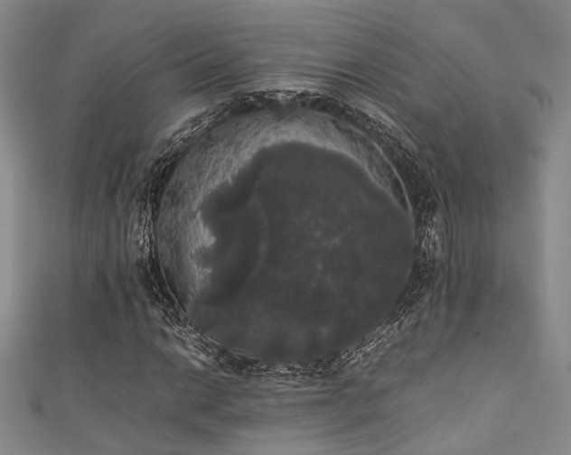 X0000111371014200907101206