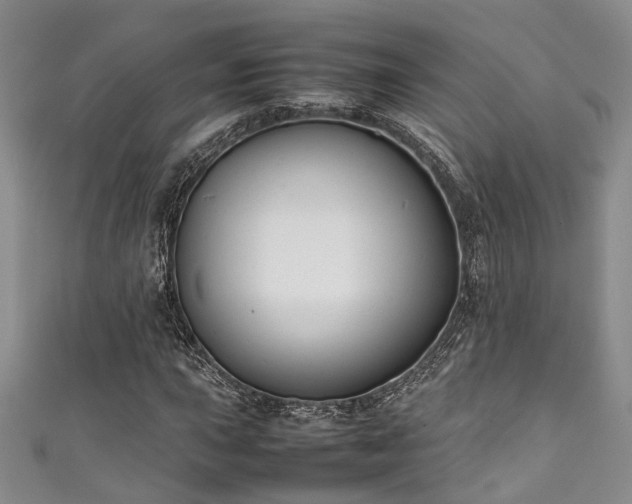 X0000111371015200907101206