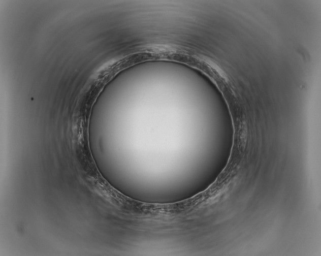 X0000111371016200907101206