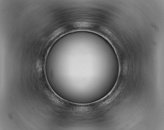 X0000111371017200907101206