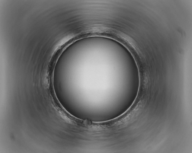 X0000111371018200907101206