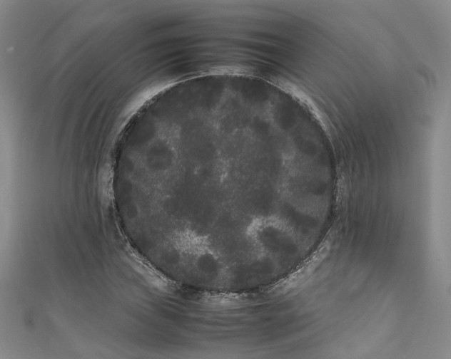 X0000111371019200907101206