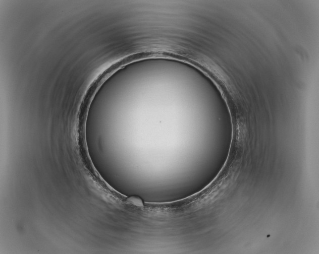 X0000111371020200907101206