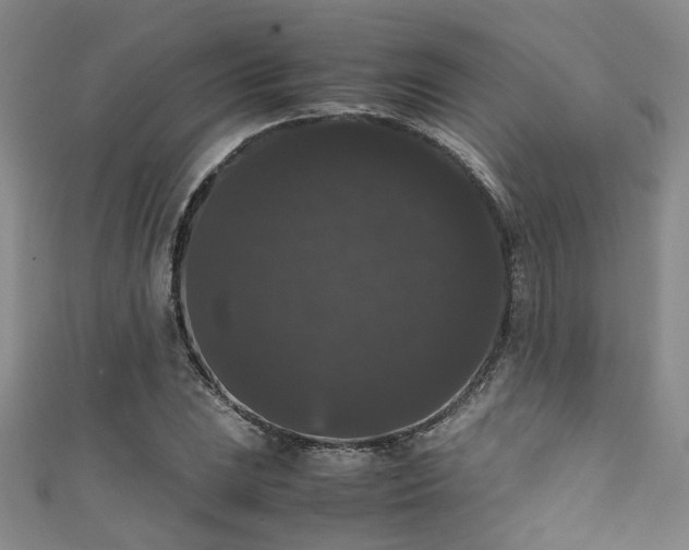 X0000111371023200907101206