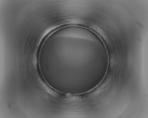 X0000111371024200907101206