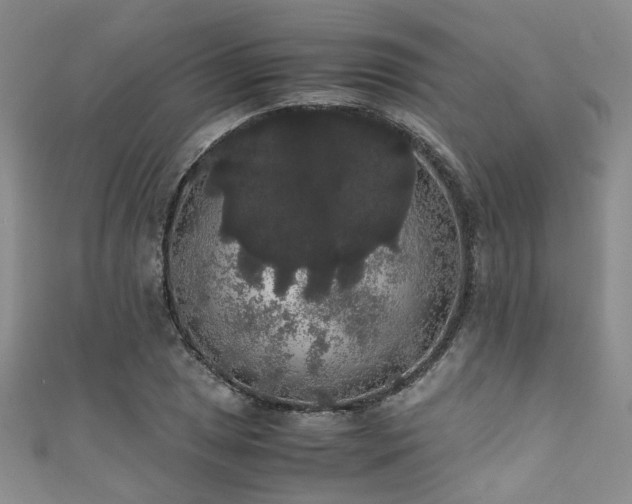 X0000111371025200907101207