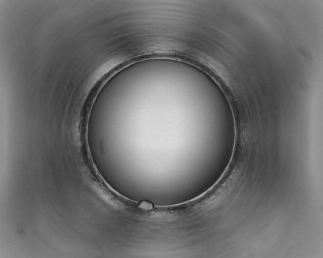 X0000111371026200907101207