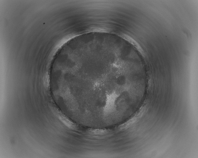 X0000111371027200907101207