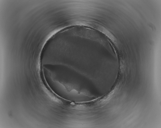 X0000111371028200907101207
