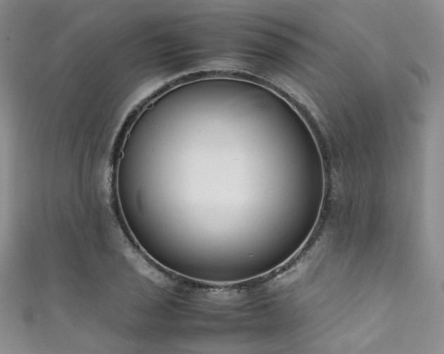 X0000111371029200907101207
