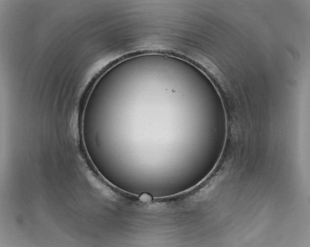X0000111371030200907101207