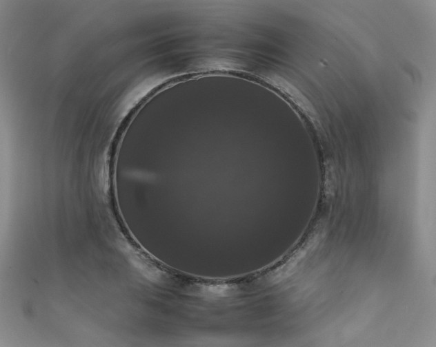 X0000111371031200907101207