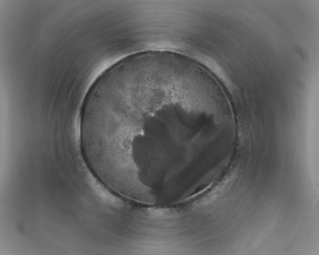 X0000111371032200907101207