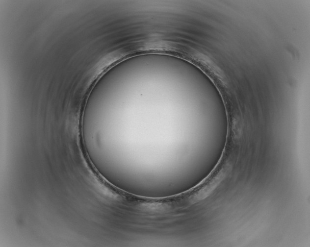 X0000111371033200907101207