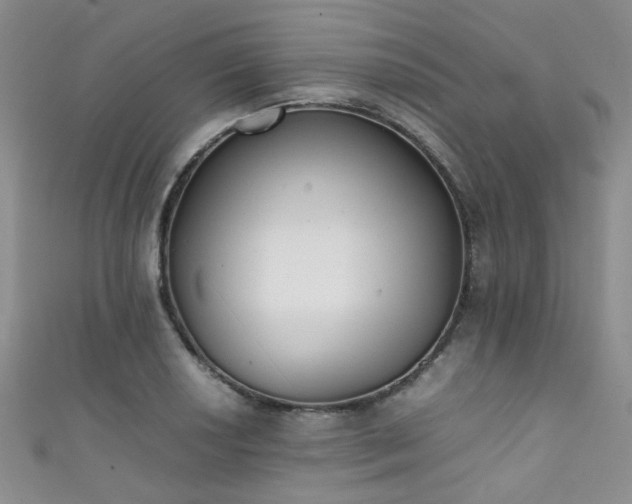 X0000111371034200907101207