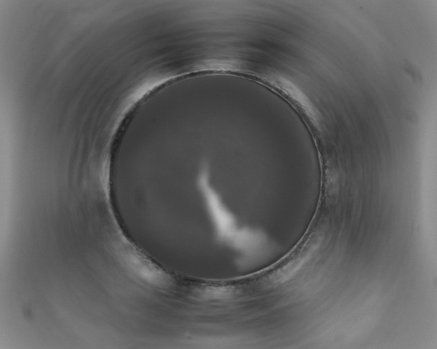 X0000111371035200907101207