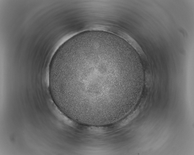 X0000111371036200907101207