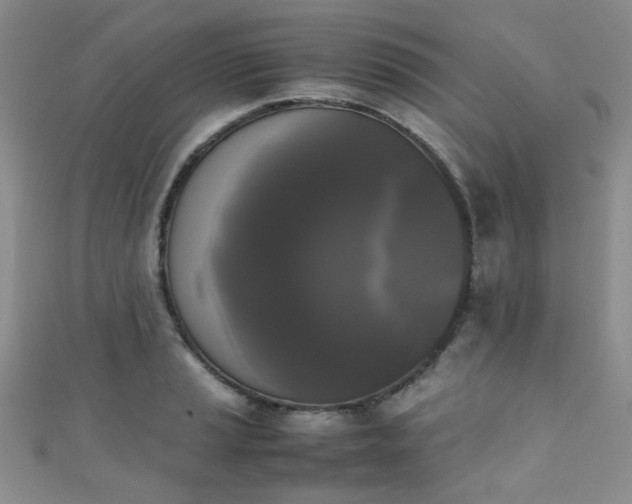X0000111371037200907101207