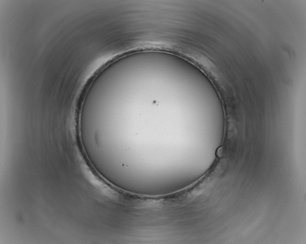 X0000111371038200907101207