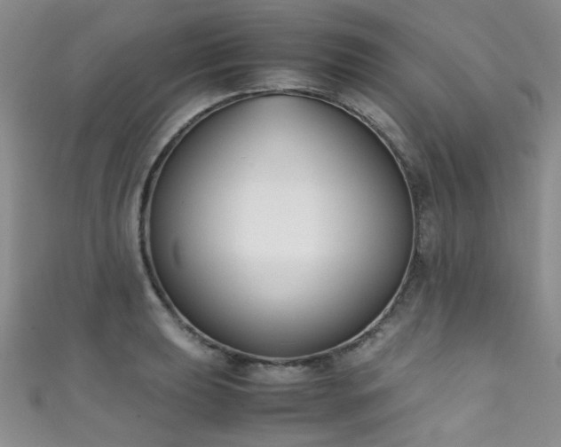 X0000111371039200907101207
